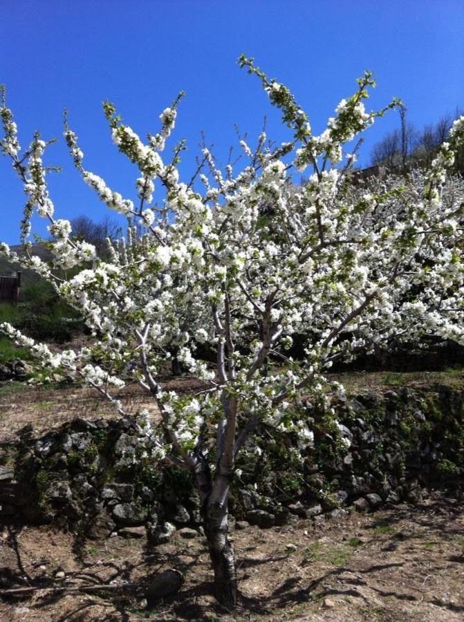 La Escondida Villa Tornavacas Dış mekan fotoğraf