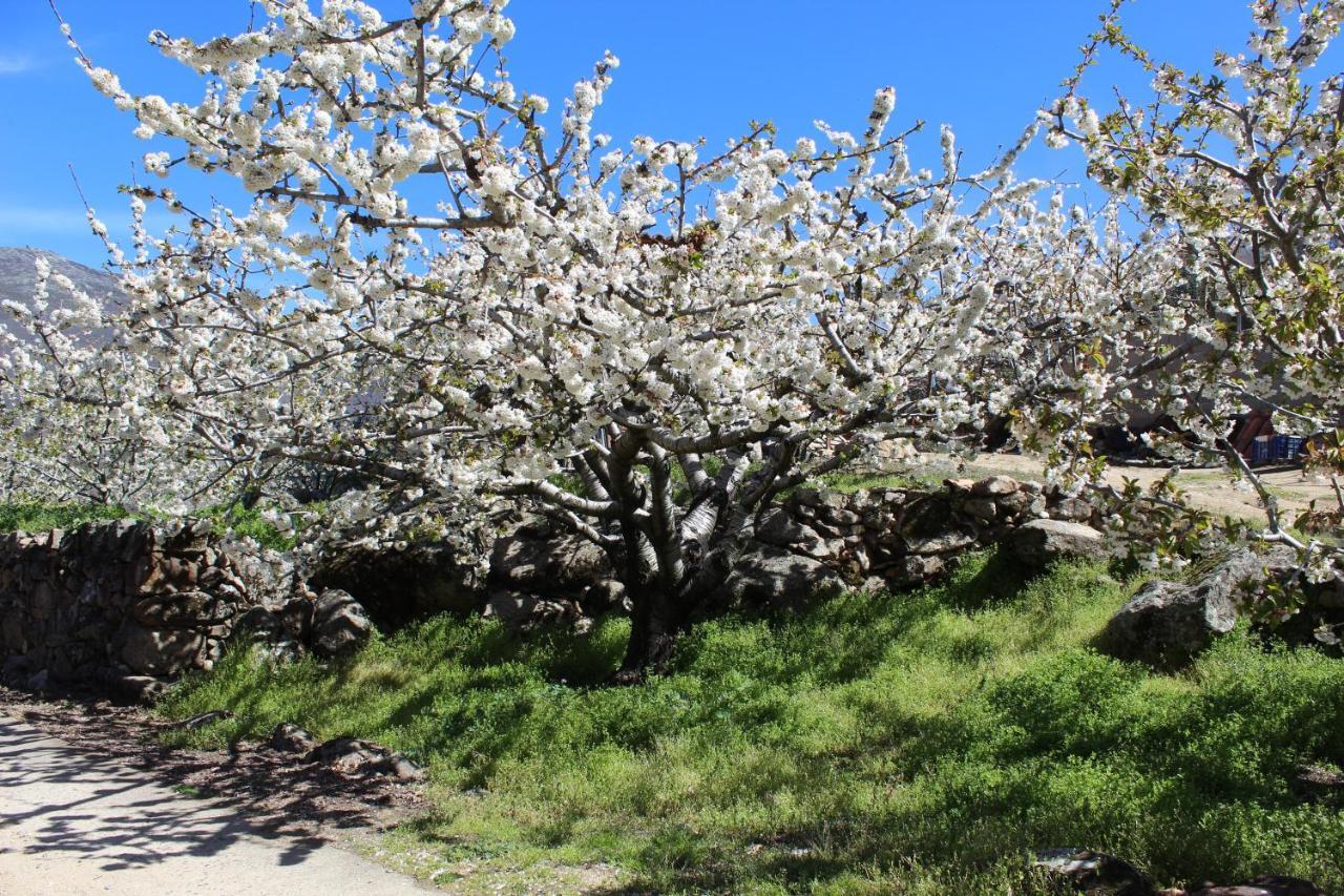 La Escondida Villa Tornavacas Dış mekan fotoğraf