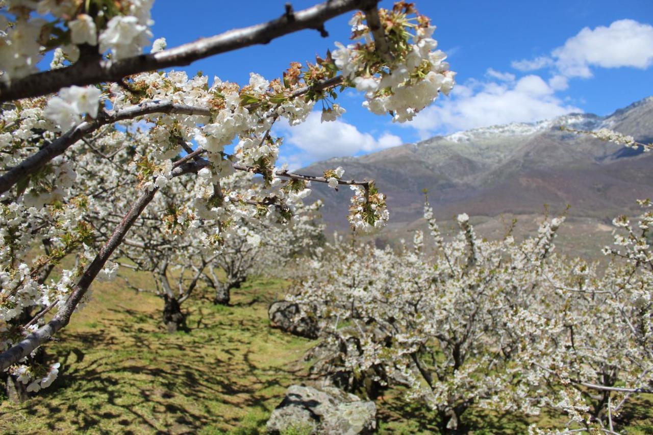 La Escondida Villa Tornavacas Dış mekan fotoğraf
